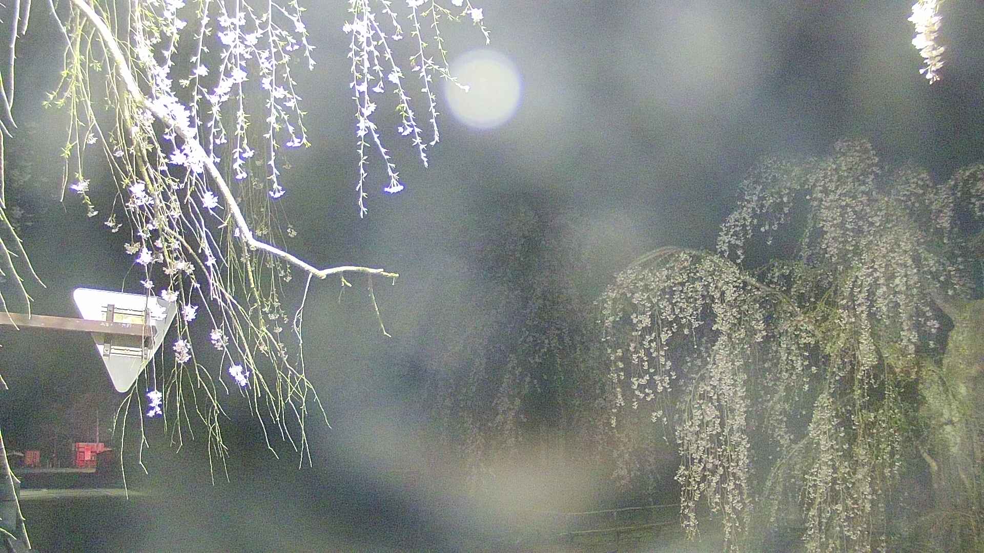 area1-20250426021016.jpg