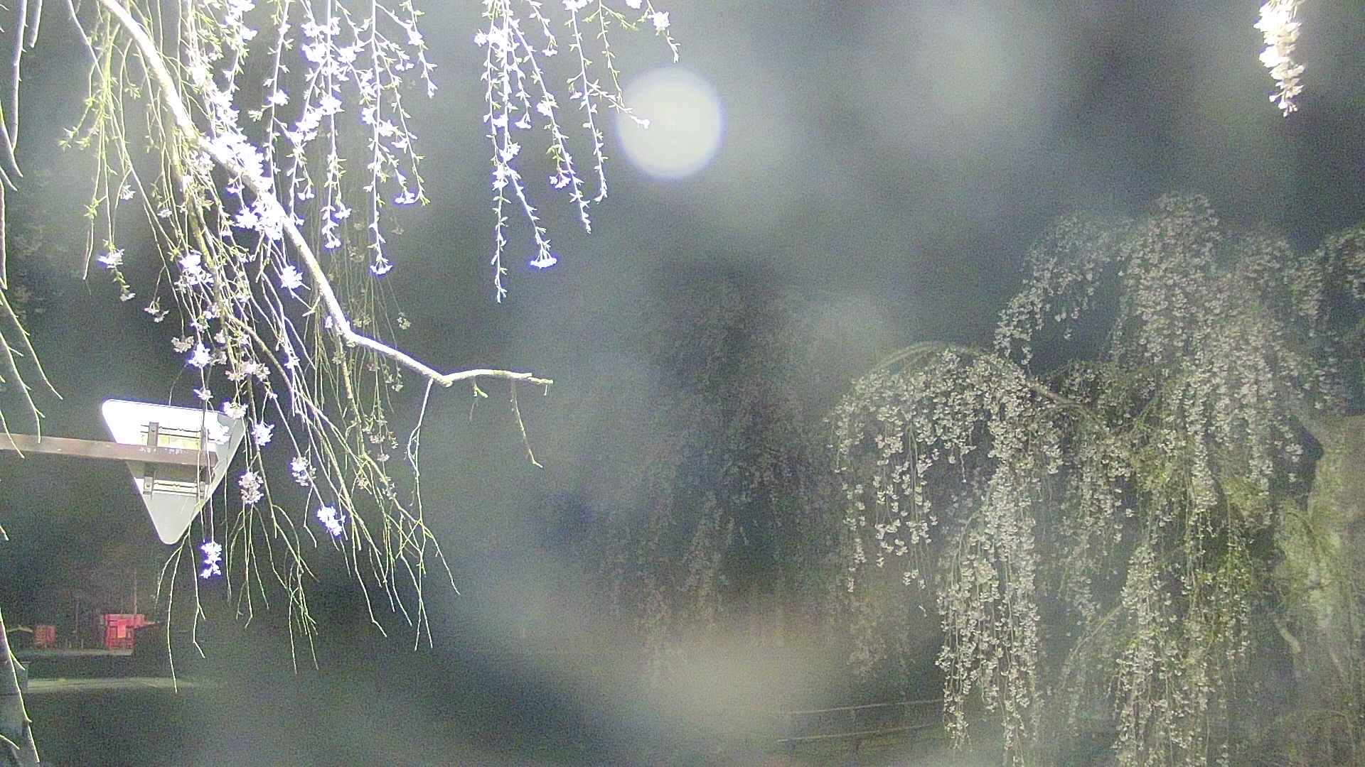 area1-20250426024016.jpg