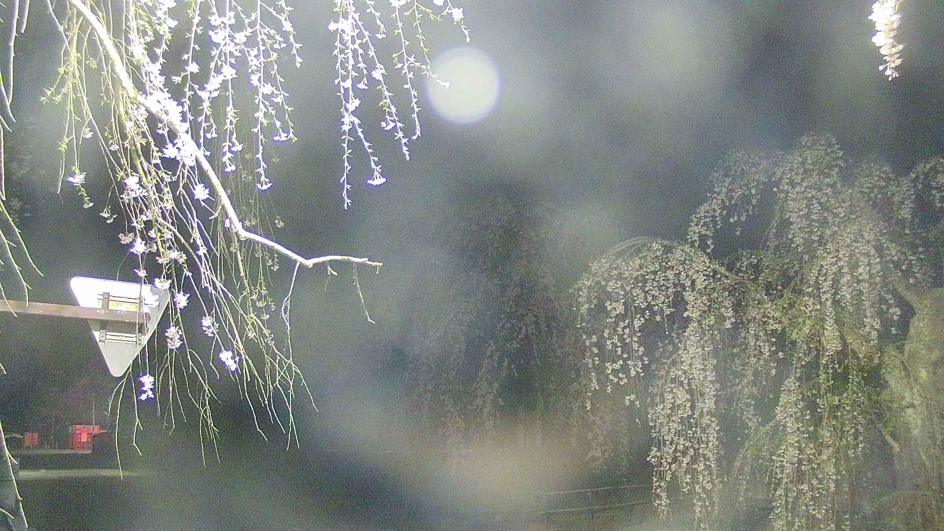 area1-20250426030016.jpg