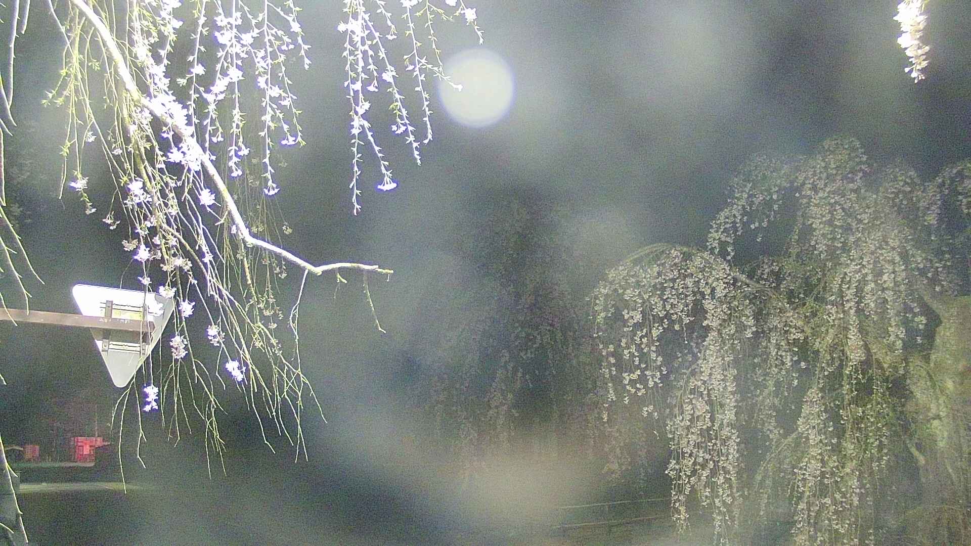 area1-20250426031015.jpg