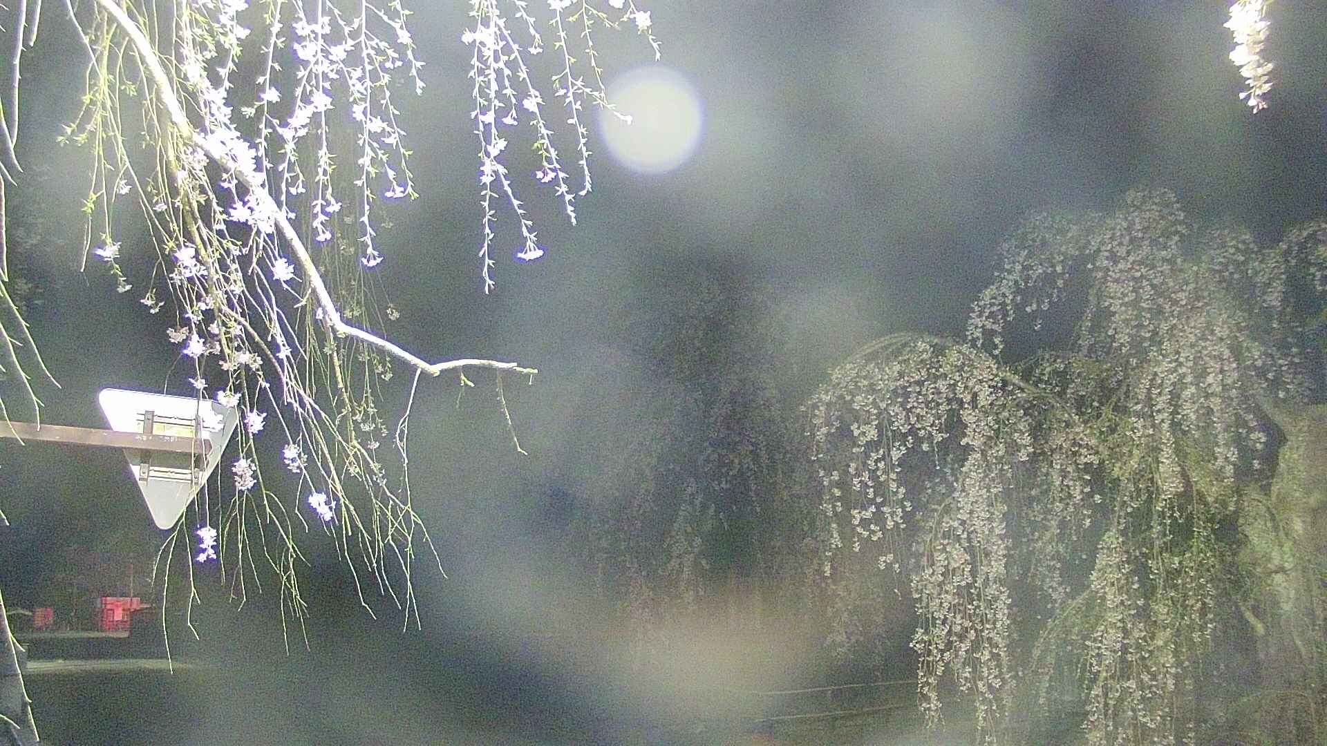 area1-20250426034015.jpg