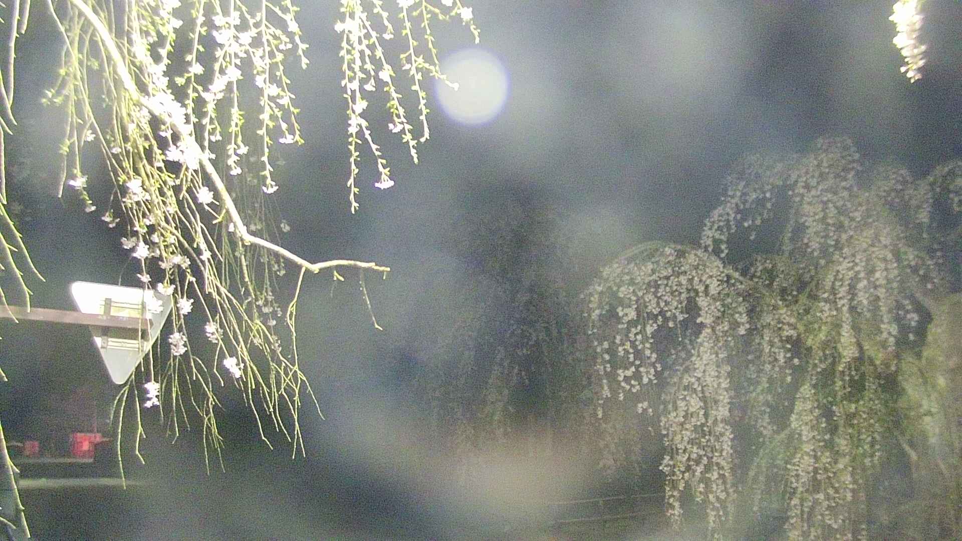 area1-20250426035016.jpg