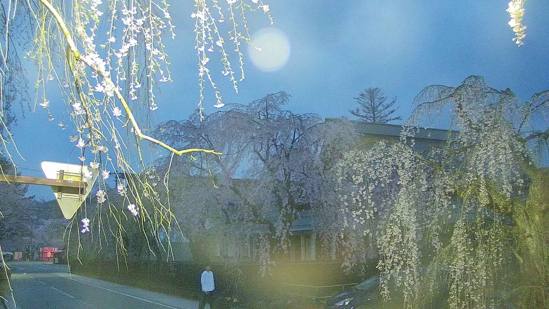area1-20250426042015.jpg