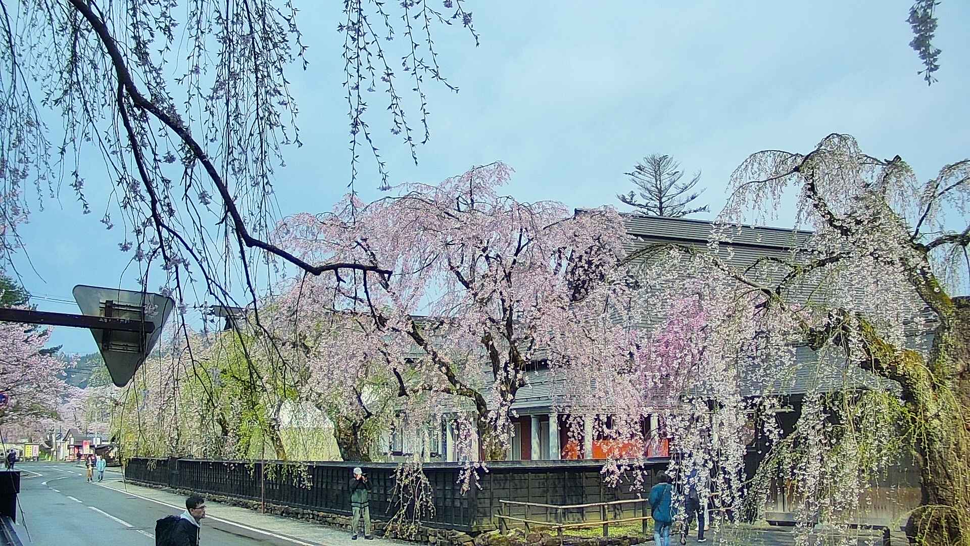 area1-20250426075015.jpg