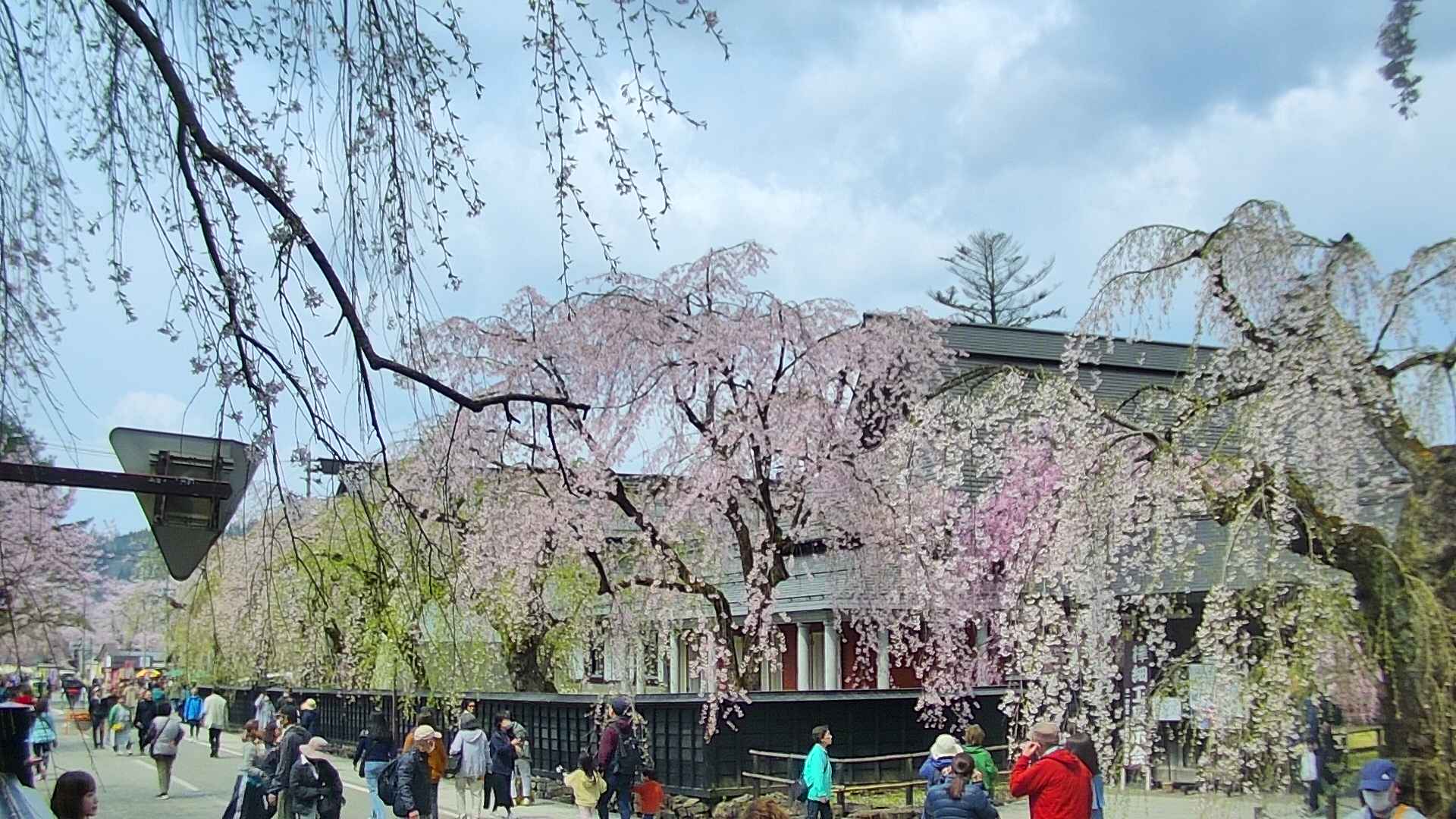 area1-20250426103015.jpg