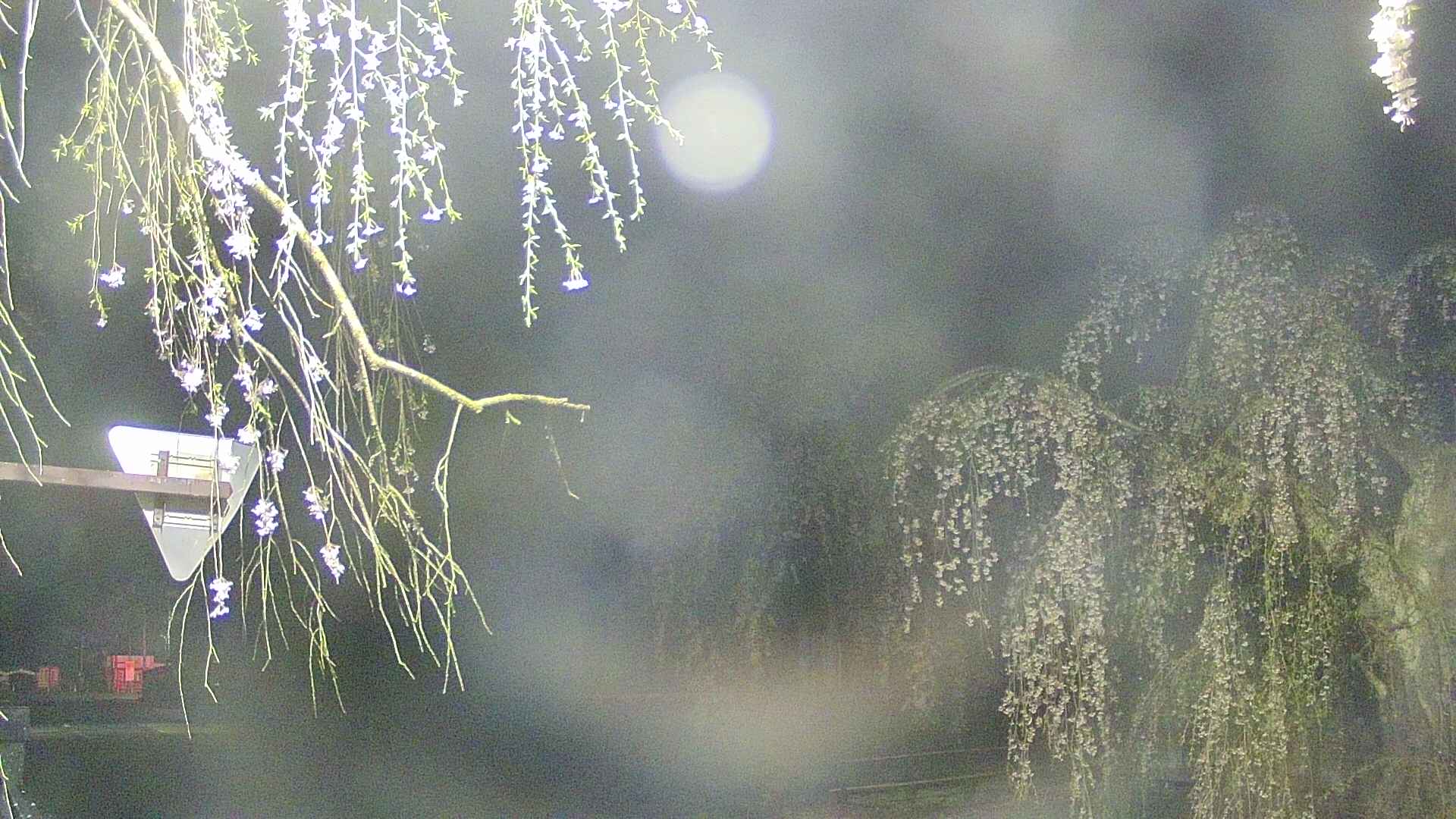 area1-20250427015016.jpg