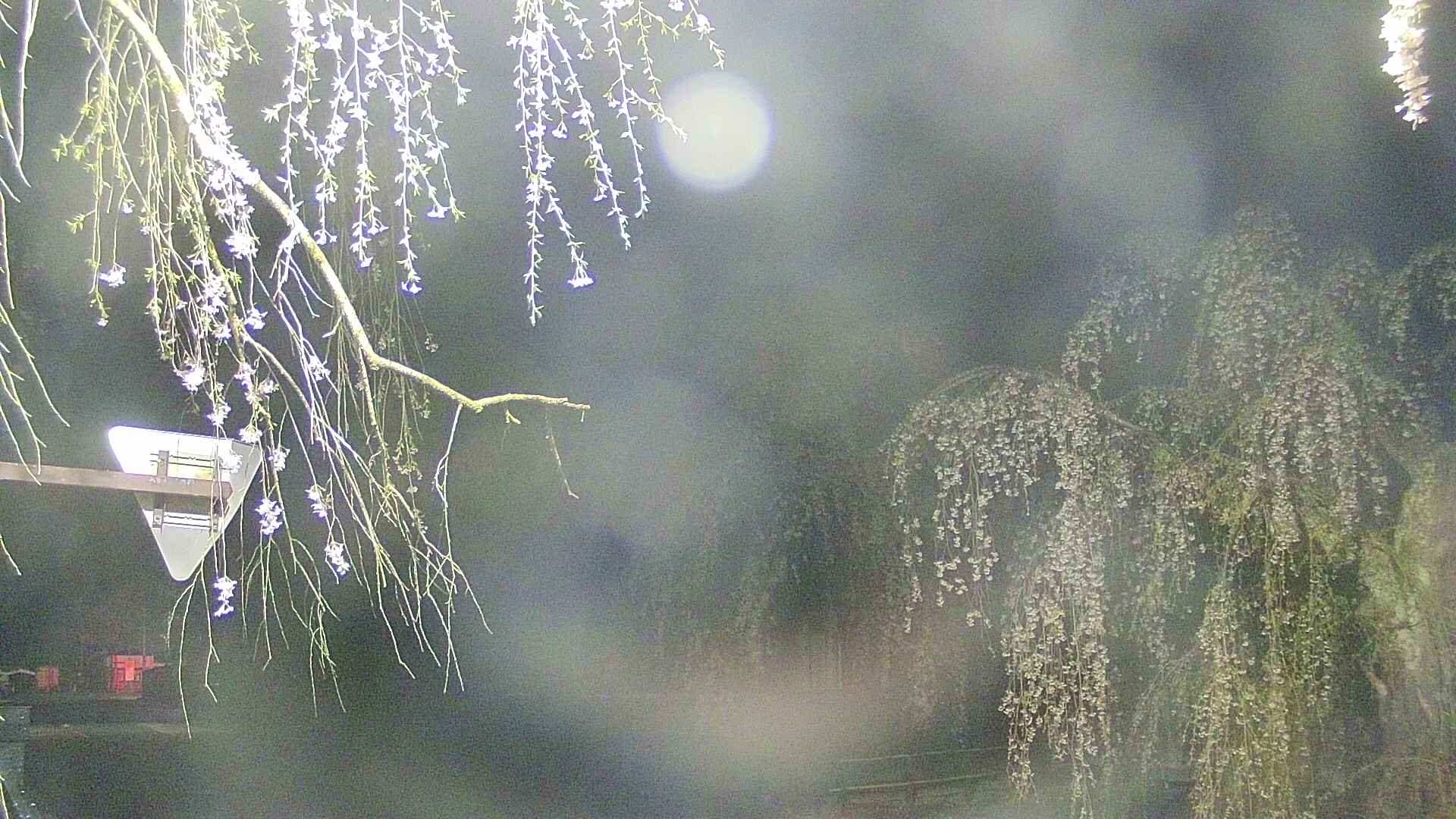 area1-20250427024016.jpg