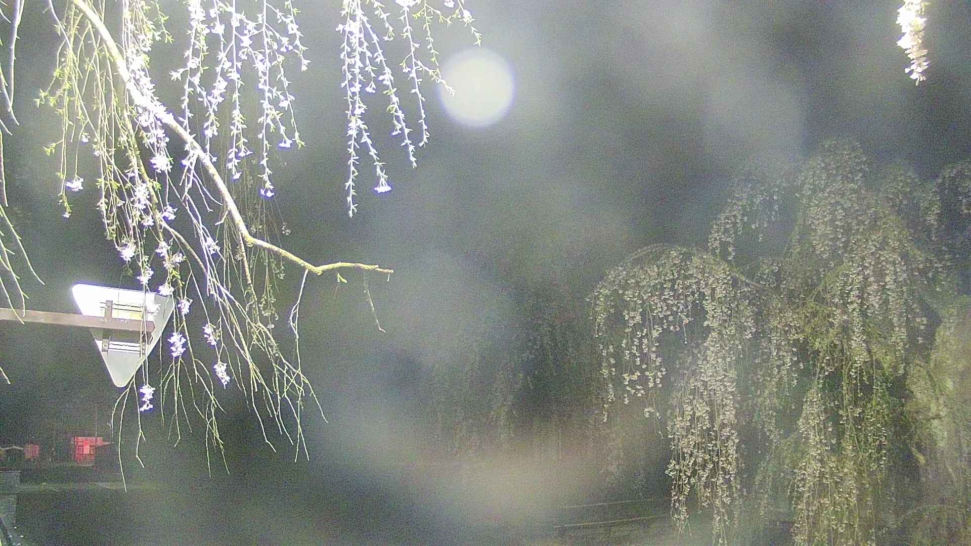 area1-20250427025014.jpg