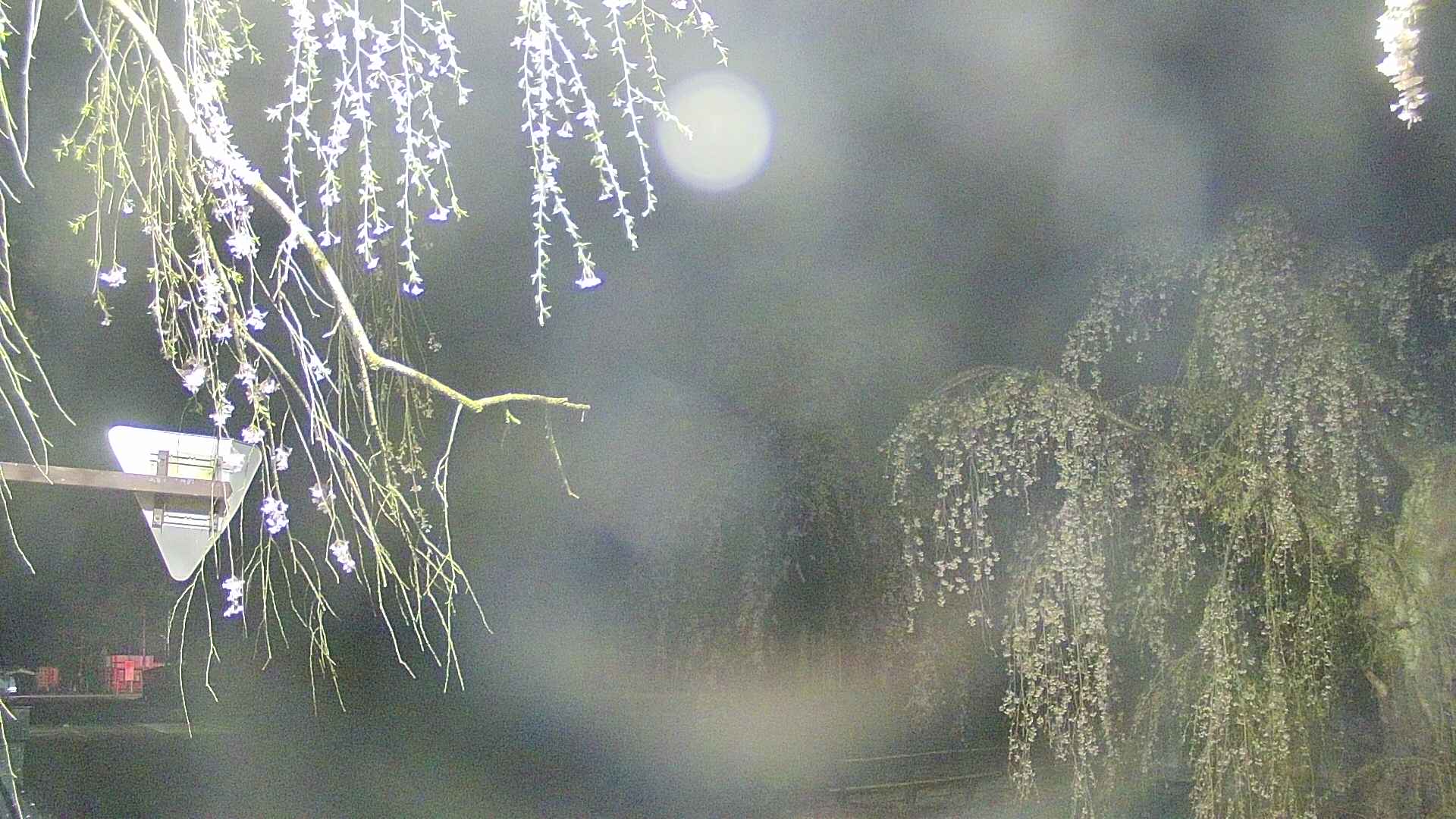 area1-20250427030016.jpg