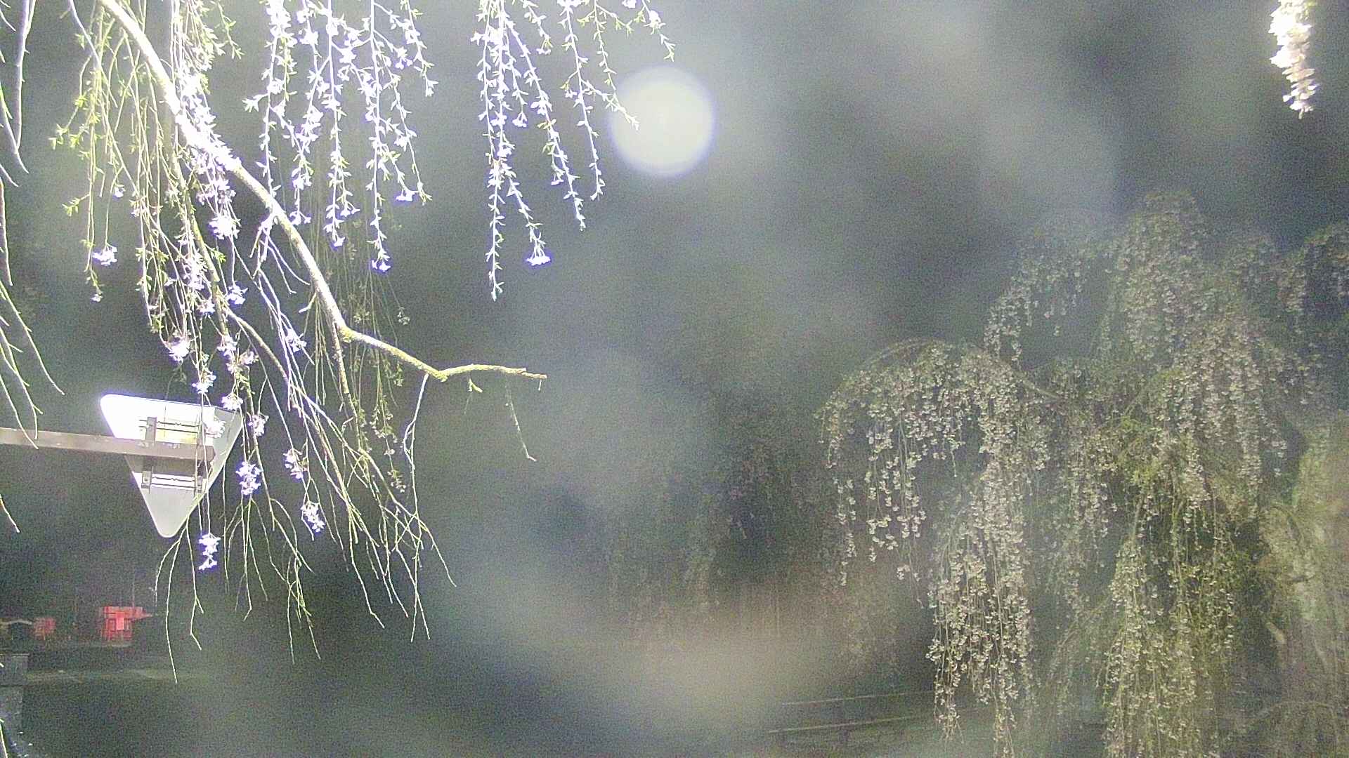 area1-20250427031016.jpg