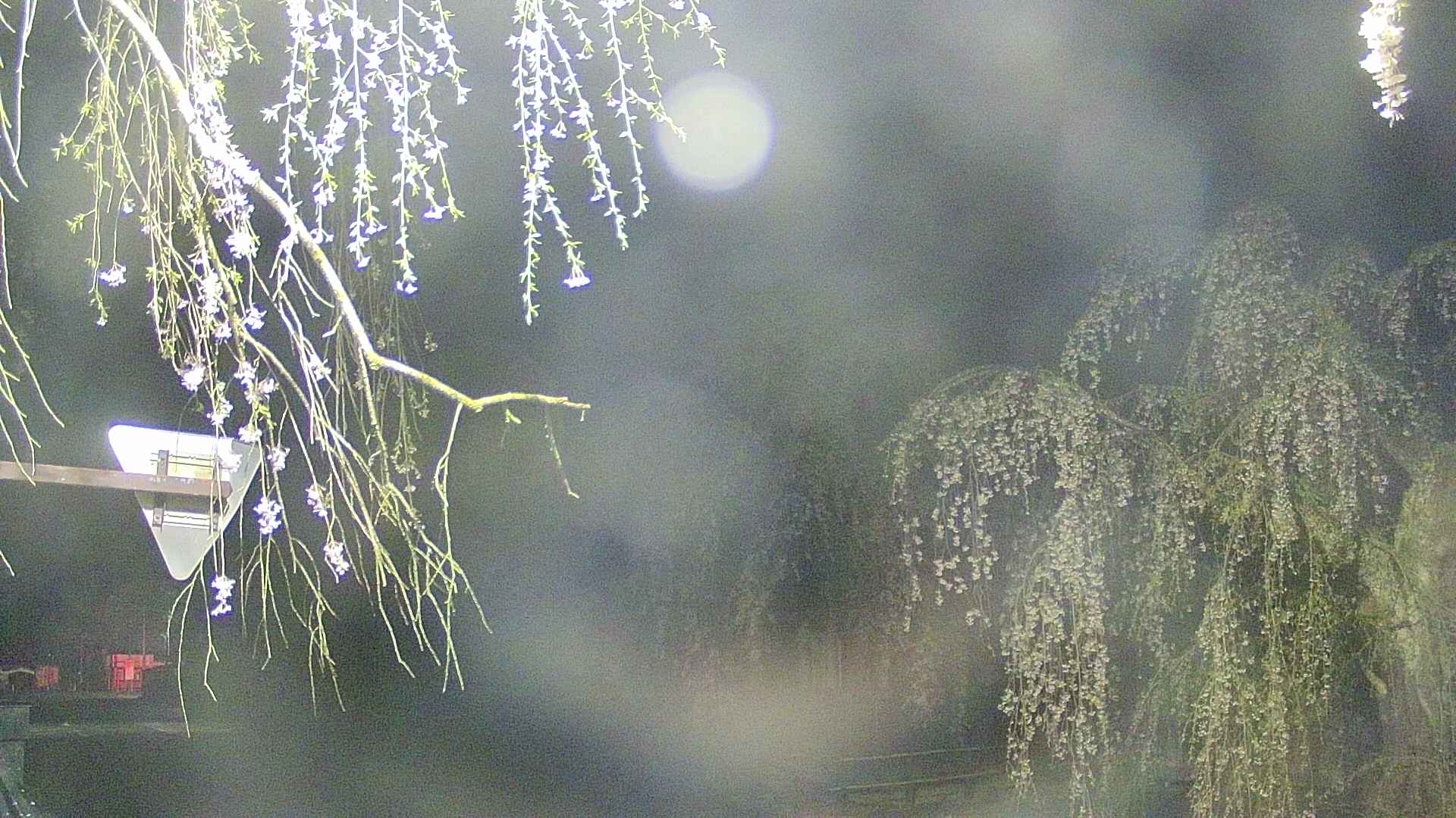 area1-20250427032017.jpg
