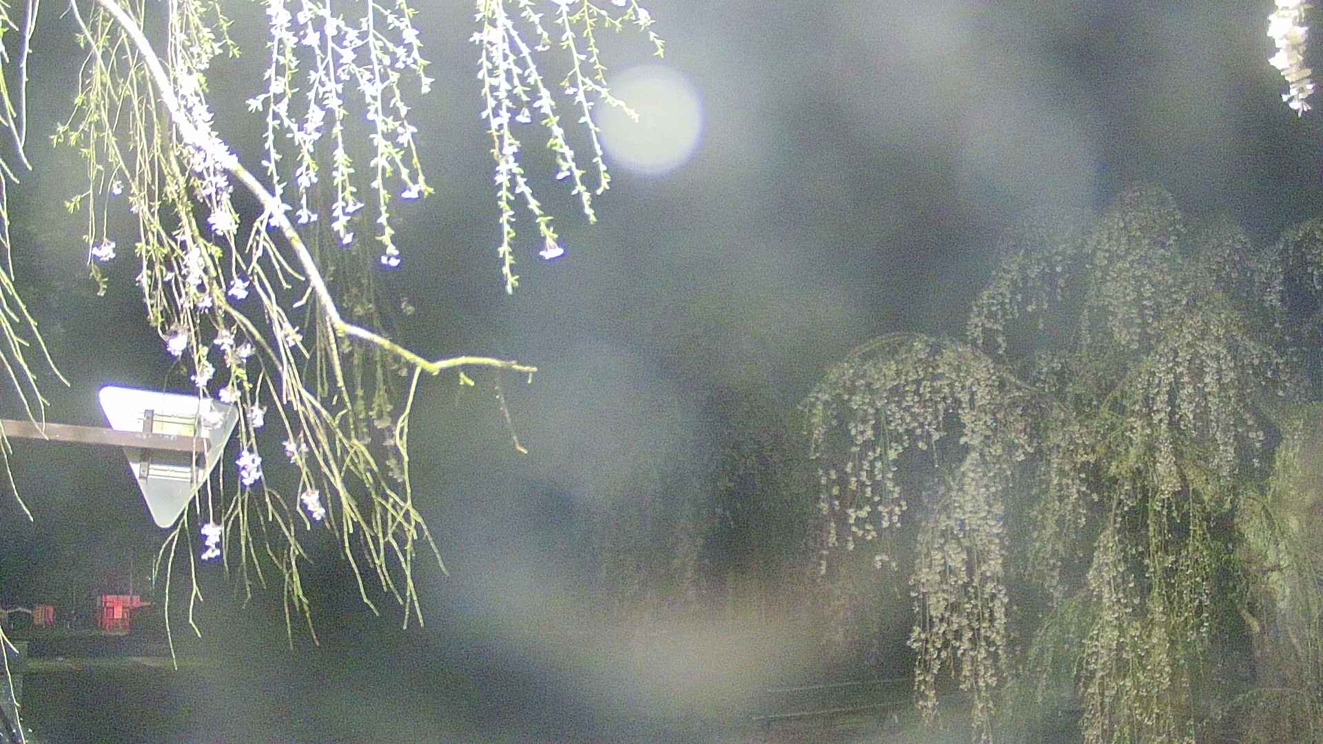 area1-20250427033016.jpg