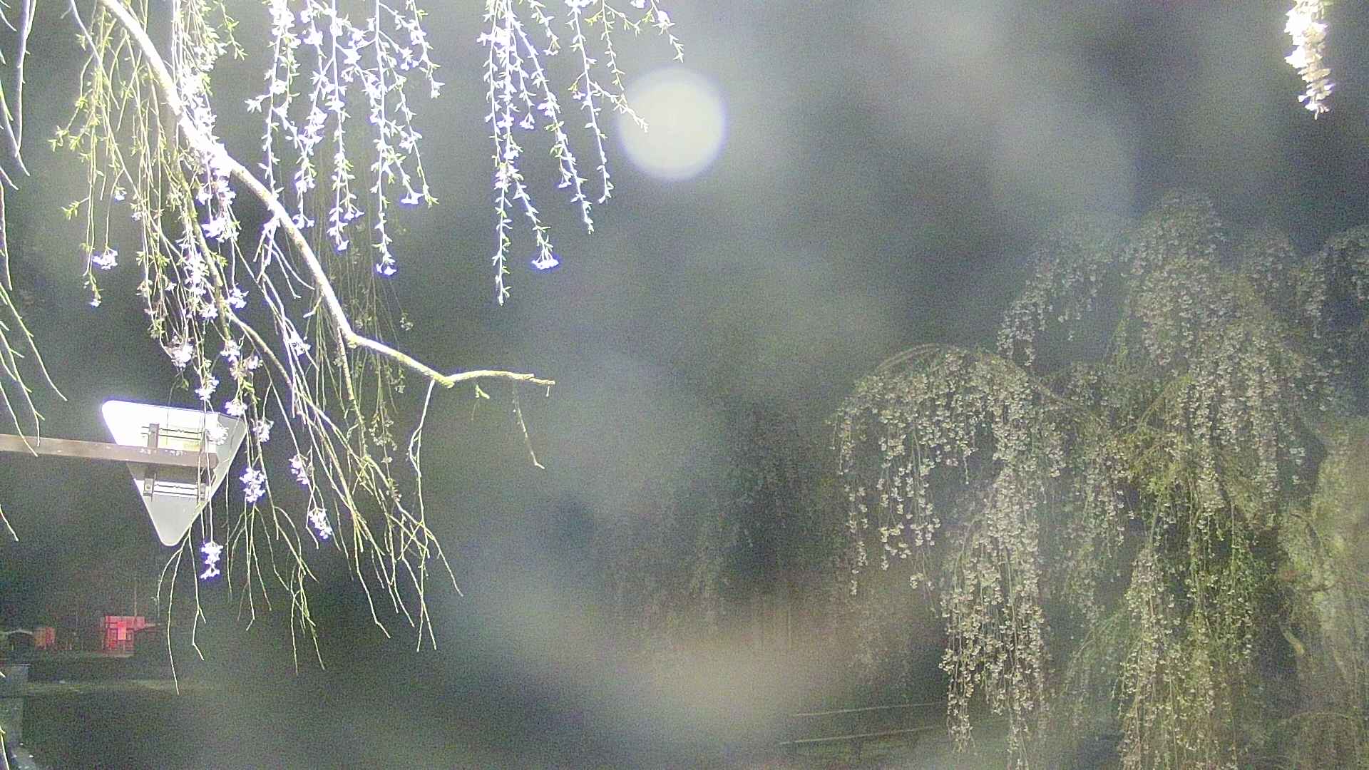 area1-20250427035016.jpg