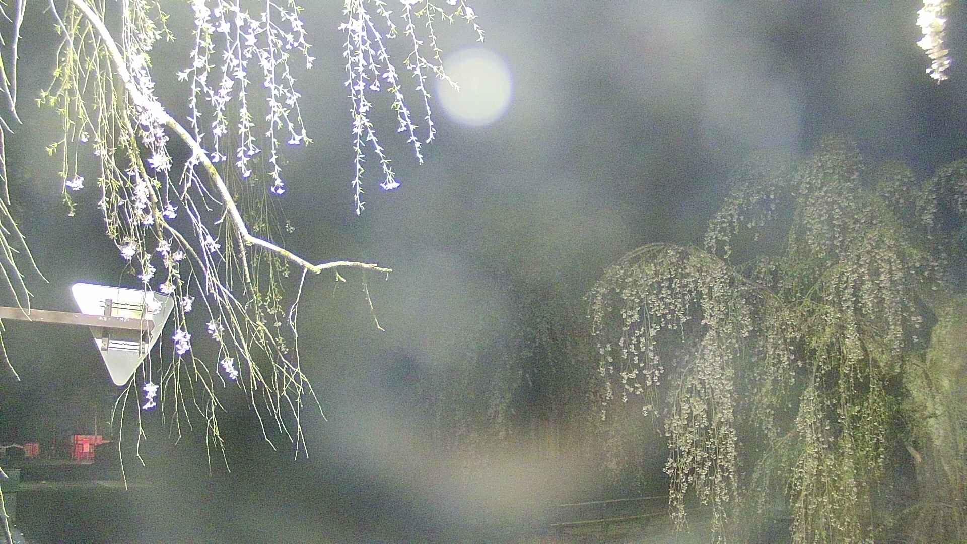 area1-20250427040015.jpg