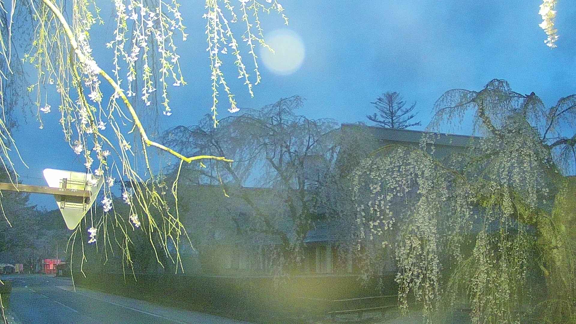 area1-20250427042016.jpg