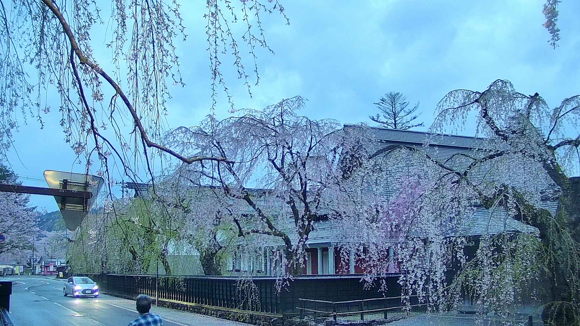 area1-20250427045016.jpg