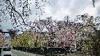 area1-20250427062016.jpg