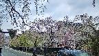 area1-20250427065016.jpg