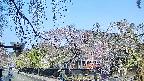 area1-20250427075015.jpg