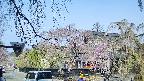 area1-20250427082015.jpg