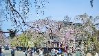 area1-20250427092016.jpg