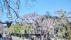 area1-20250427100015.jpg