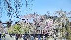 area1-20250427102016.jpg