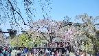 area1-20250427112016.jpg