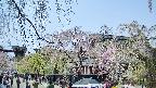 area1-20250427120016.jpg