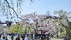 area1-20250427122015.jpg
