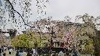 area1-20250427132015.jpg