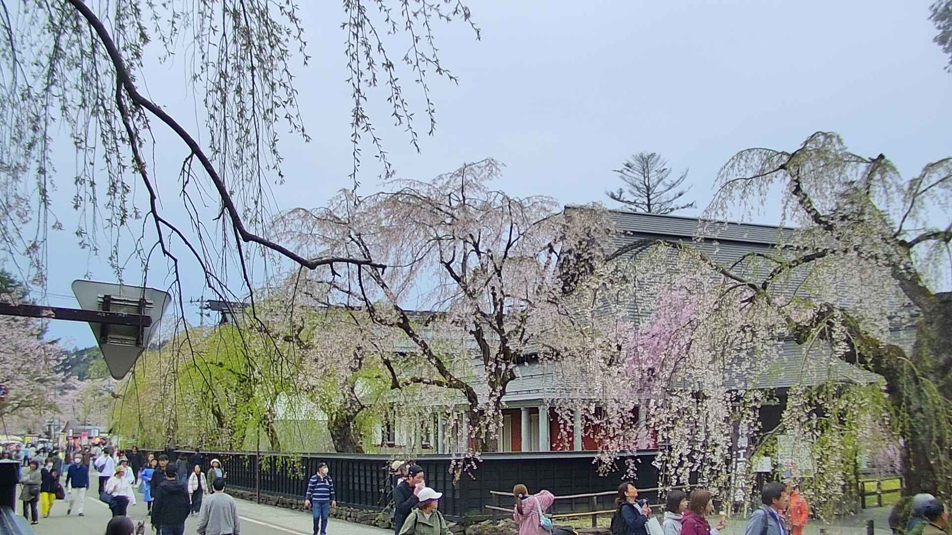 area1-20250427145016.jpg