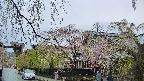 area1-20250427172015.jpg