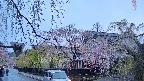 area1-20250427181014.jpg
