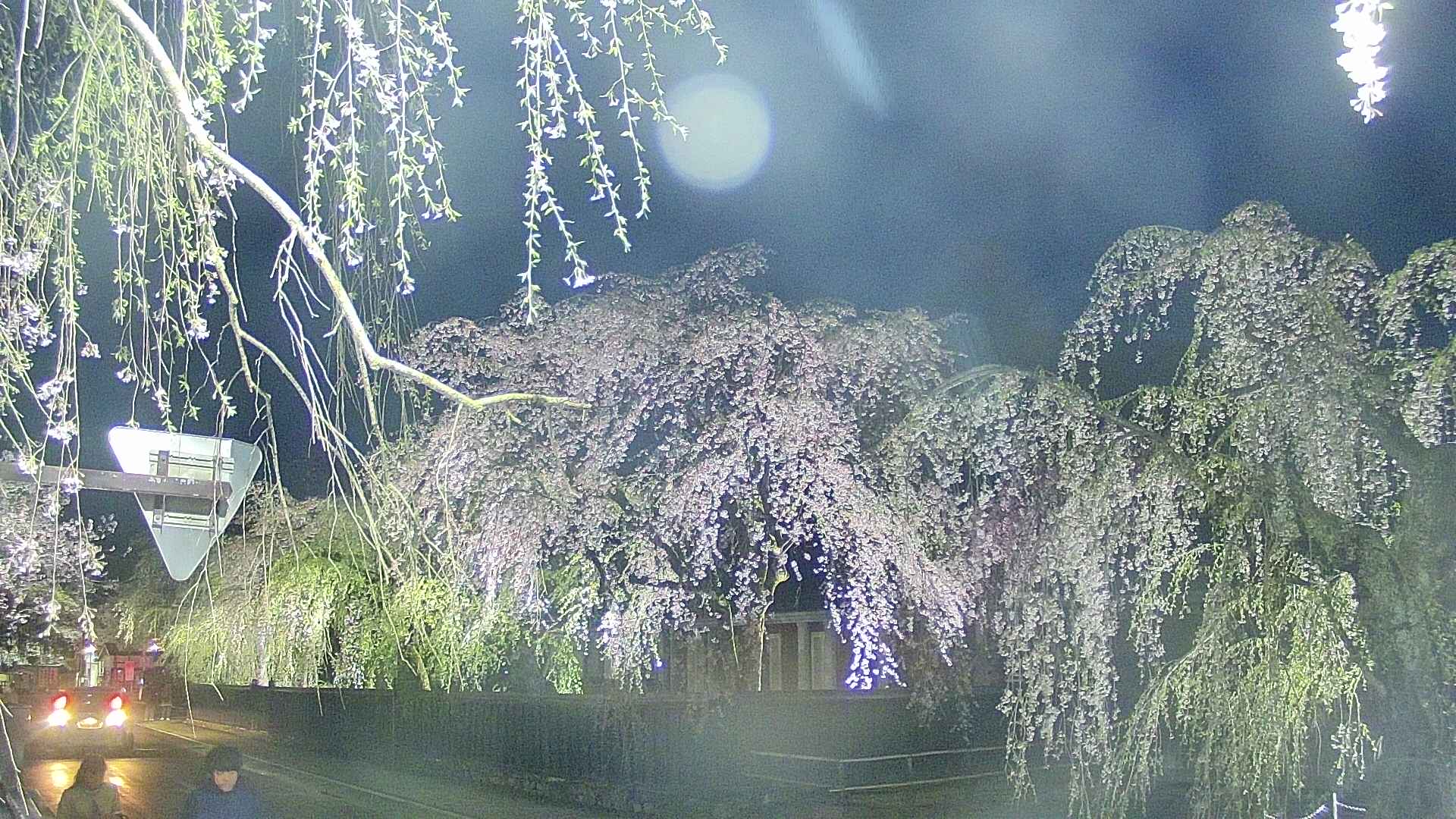 area1-20250427190016.jpg