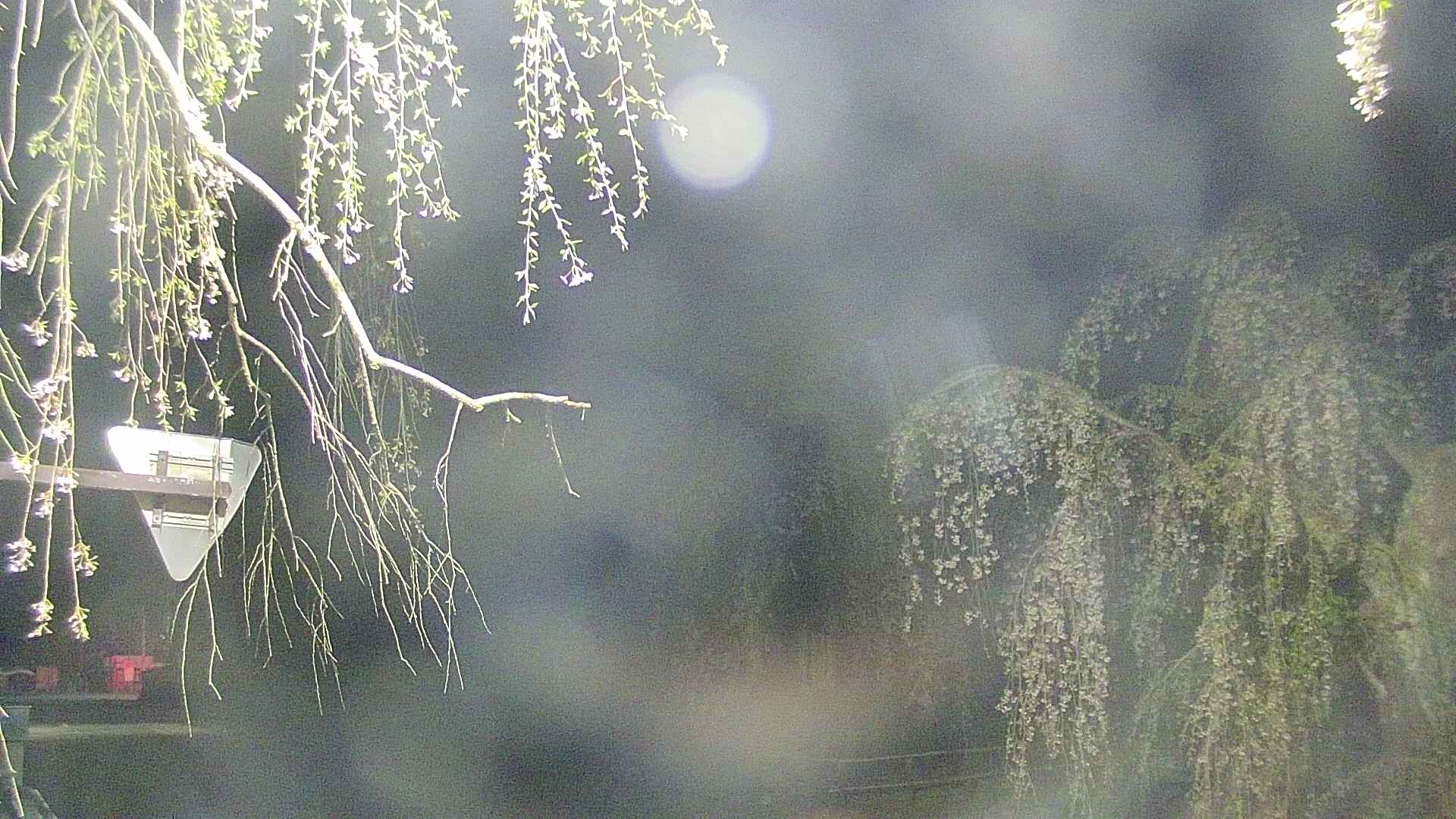 area1-20250428015015.jpg