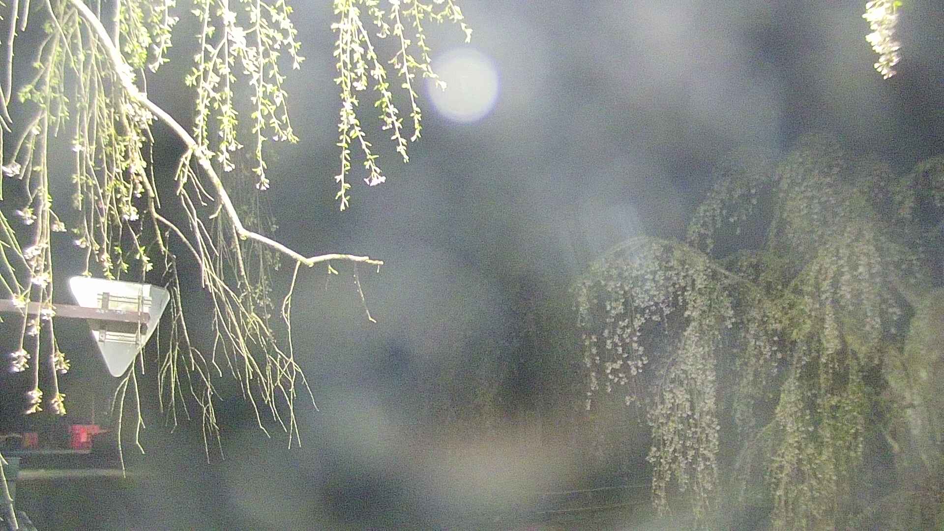 area1-20250428021015.jpg