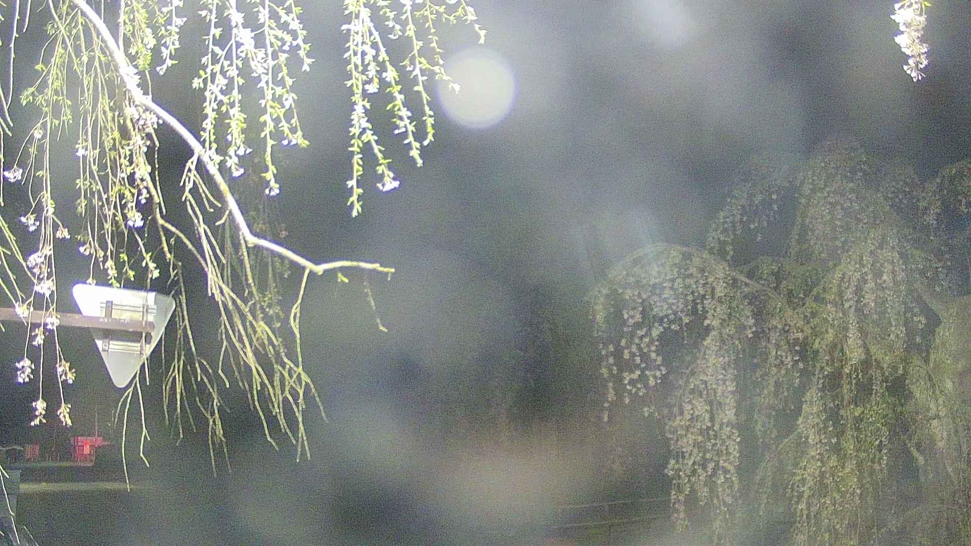 area1-20250428024015.jpg