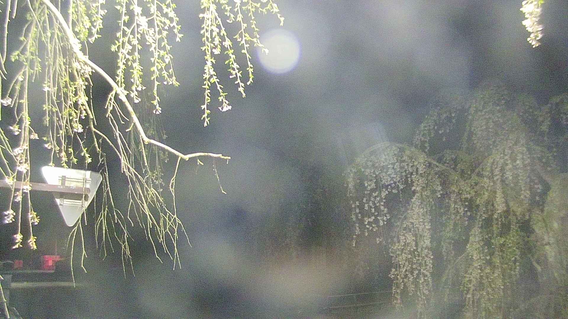 area1-20250428025016.jpg