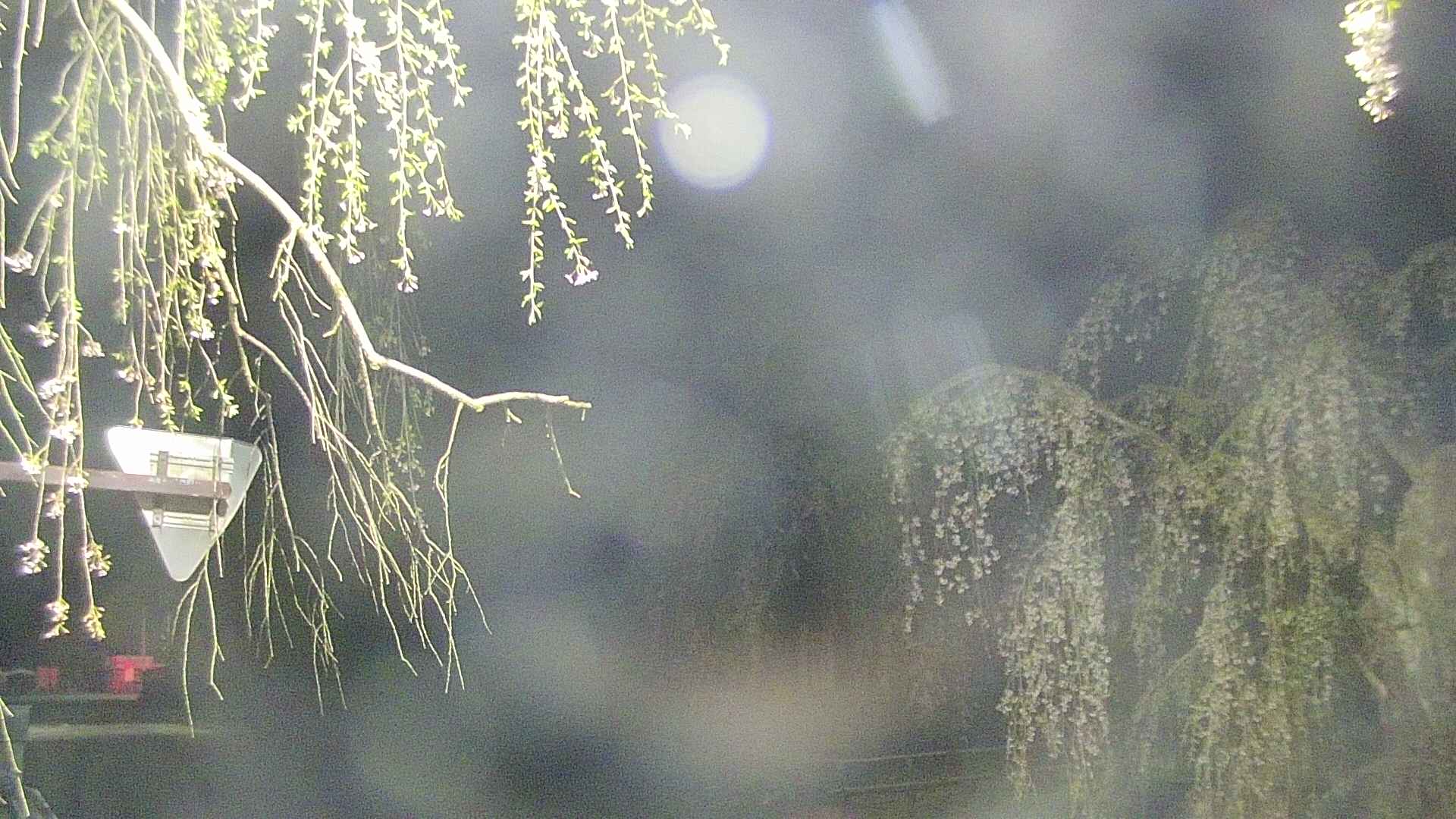 area1-20250428031016.jpg