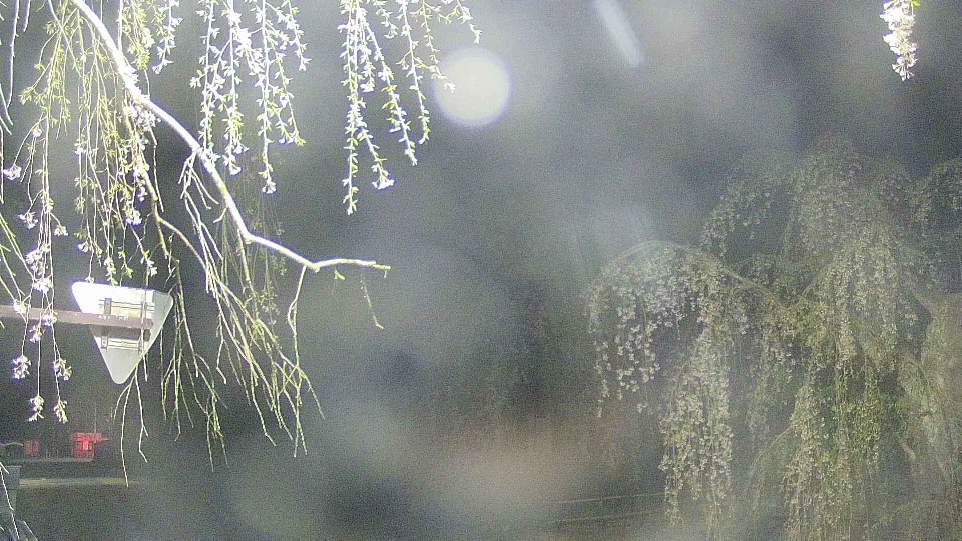 area1-20250428033016.jpg