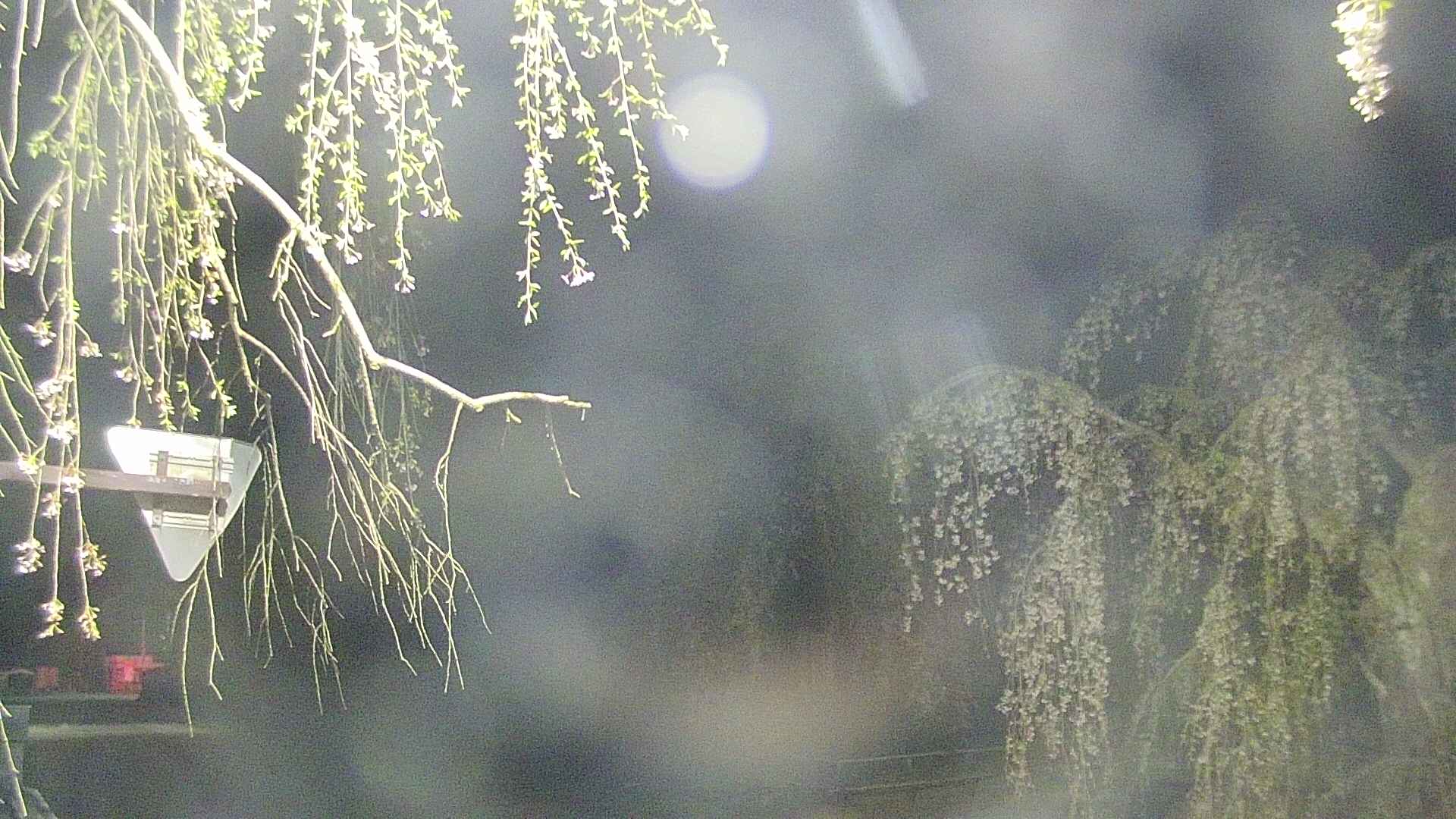 area1-20250428034016.jpg