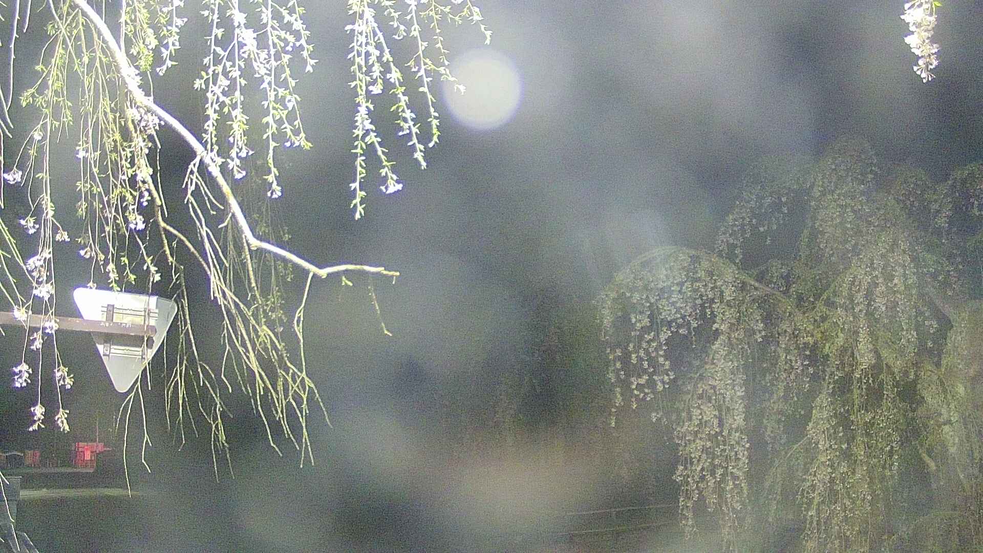 area1-20250428035016.jpg
