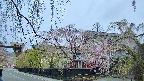 area1-20250428050014.jpg