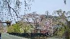 area1-20250428052016.jpg