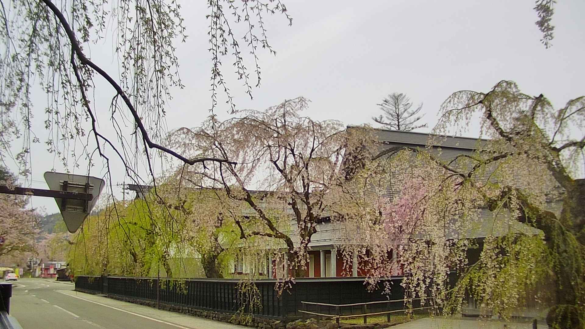 area1-20250428075015.jpg