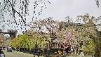 area1-20250428114014.jpg