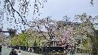 area1-20250428120017.jpg