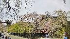area1-20250428134015.jpg