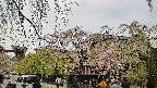 area1-20250428144015.jpg